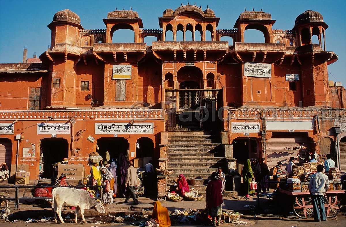 Street, Jaipur, Rajasthan, India
 (cod:India 24)